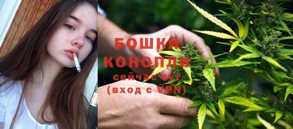 ПСИЛОЦИБИНОВЫЕ ГРИБЫ Покровск